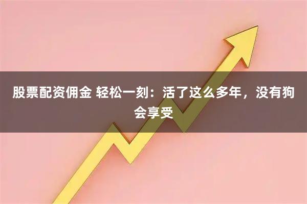 股票配资佣金 轻松一刻：活了这么多年，没有狗会享受